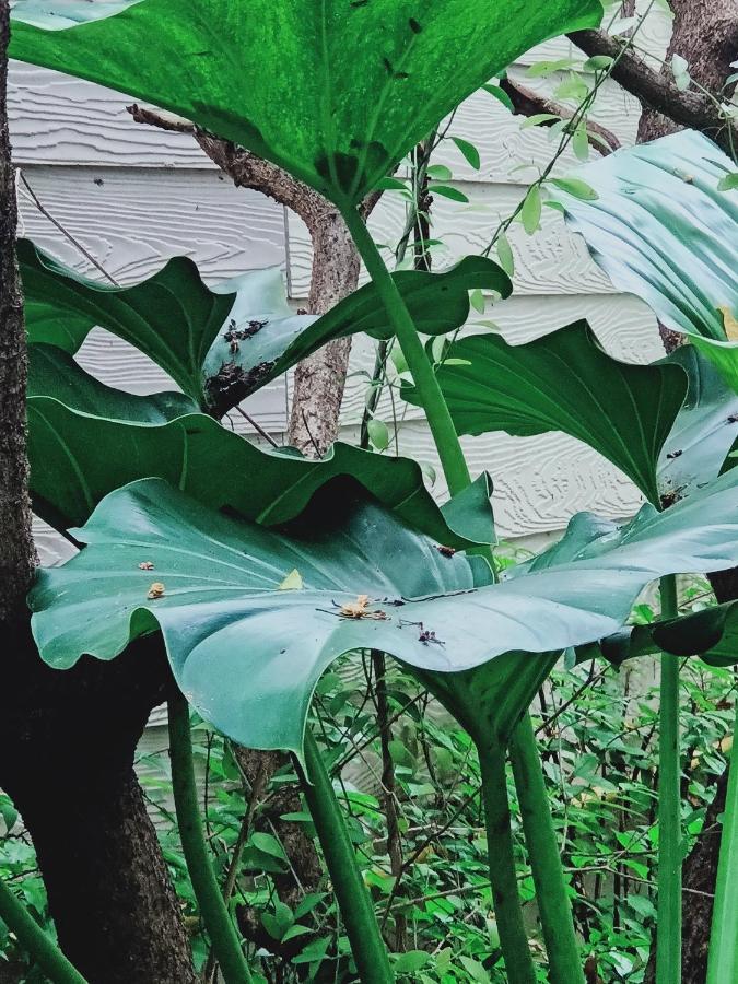 Sri Ngachang Chiang Mai Eksteriør bilde